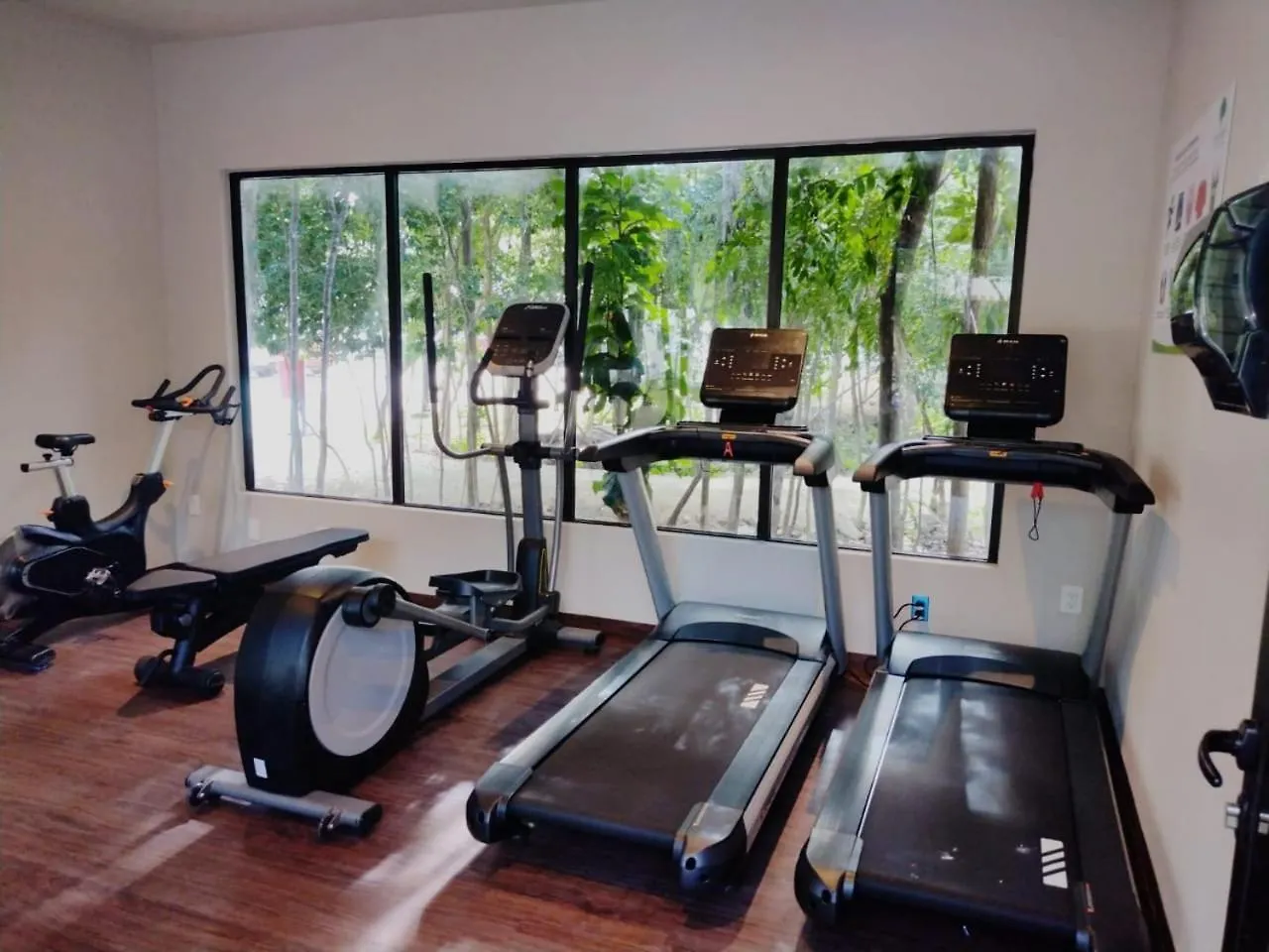 Natura Apartment Playa del Carmen