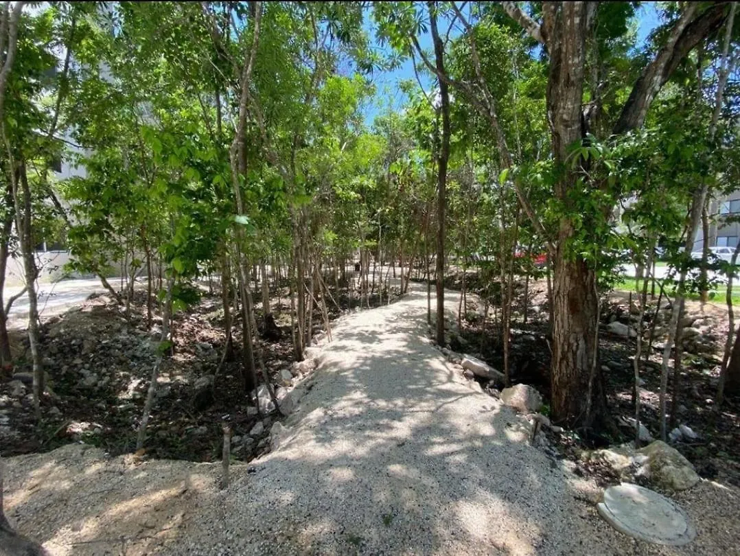 Natura Apartment Playa del Carmen Mexico